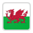 Logo Wales
