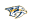 Logo image of Nashville Predators