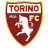 Infortunati Serie A Torino