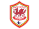 soccer_england_cardiff_city_56x42.png