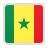 bendera Senegal piala dunia 2022