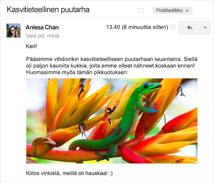 kirsikka kukki dating promo koodi 2014
